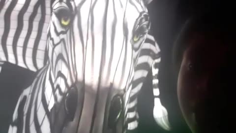 Kissing Lighted Zebra!