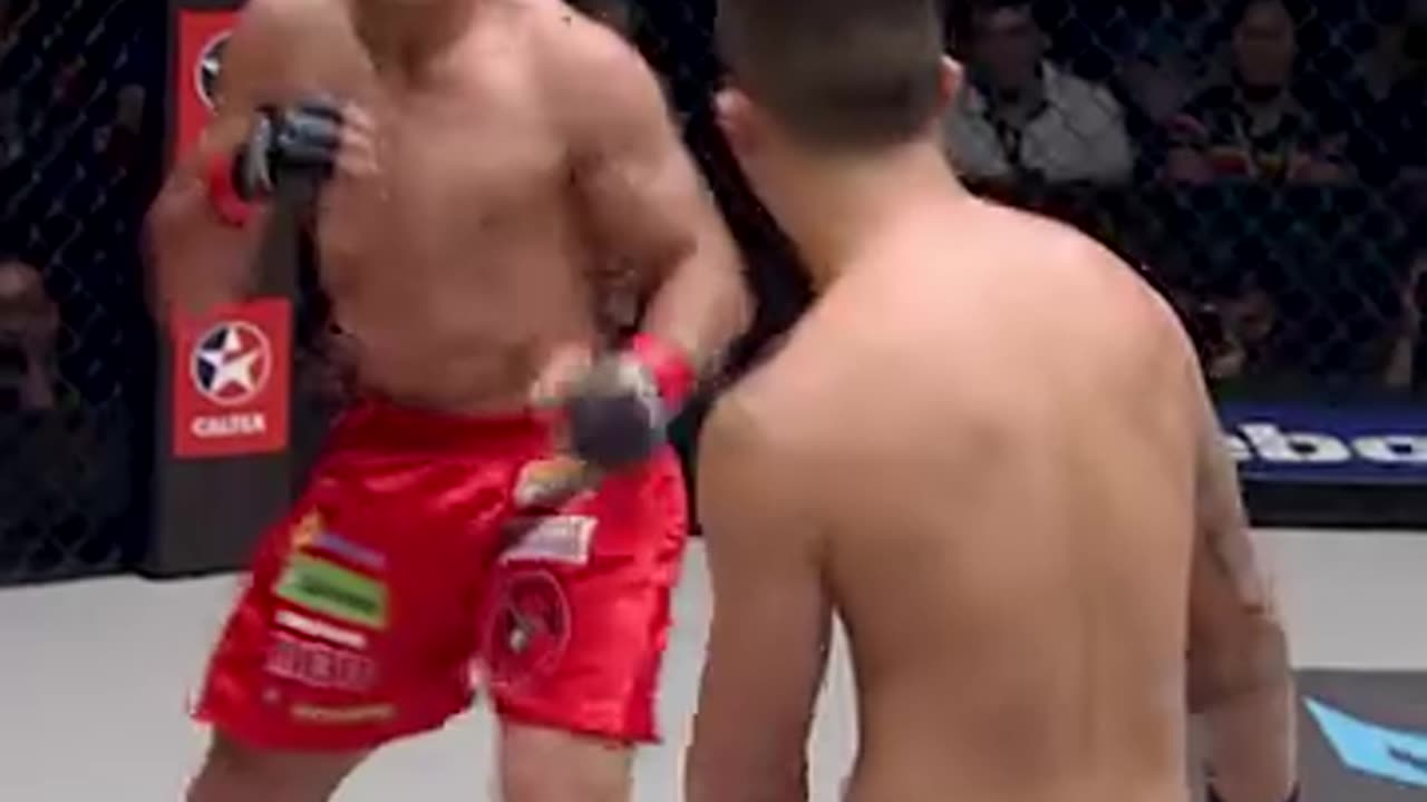 Tremendous Knock Out