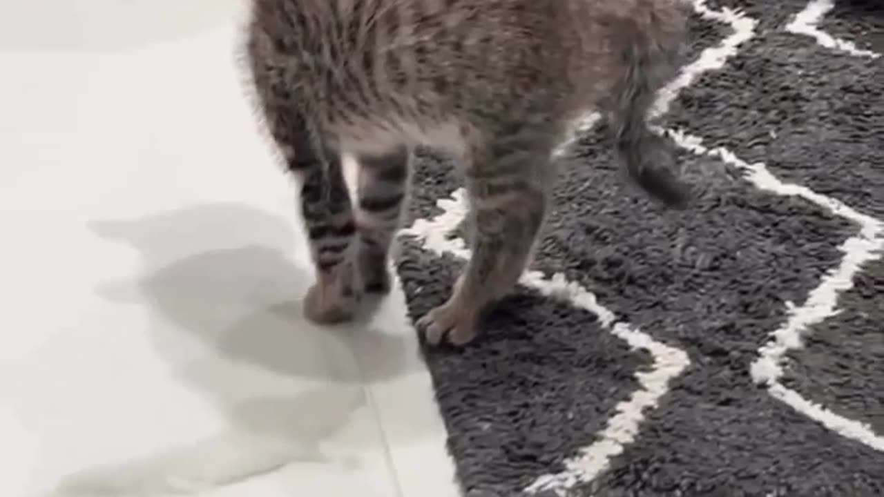You shall not pass! 😁😁