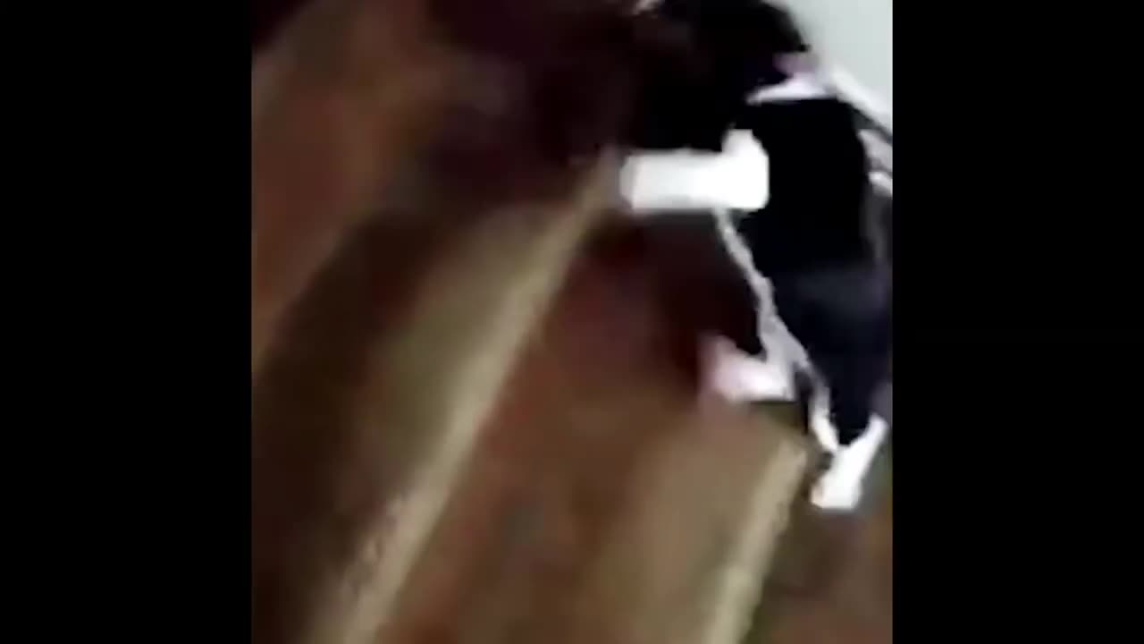 ULTIMATE|| Animal Compilation || Funny Fails || viral || comedy