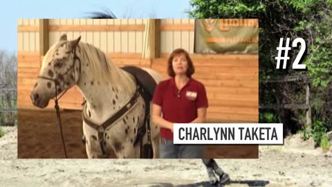 TOP 5 DEATHS OF ANIMAL TRAINERS LION TRAINERS