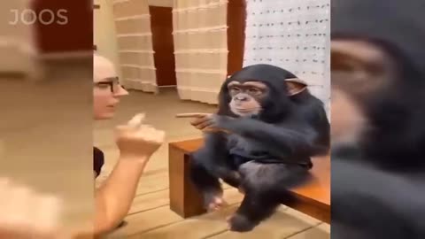 -Funny Moments Of The Week _ Cute People And Animals Doing Stupid Things 2023 #14.mp4-