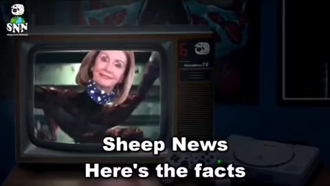 Sheep Lives Matter Music Video "Cant Hide This"