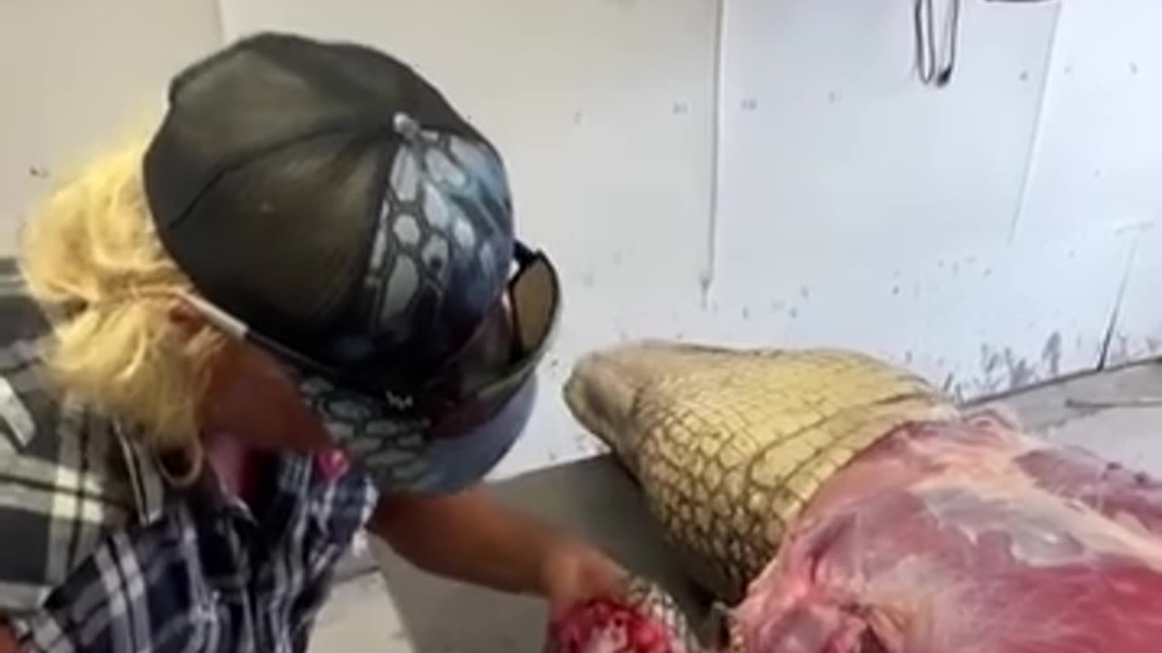 HOW TO COOK A CROCODILE