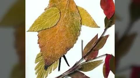 most beautiful and attractive leaf craft ideas