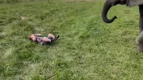 Elephant Kicks Ball at Human Face