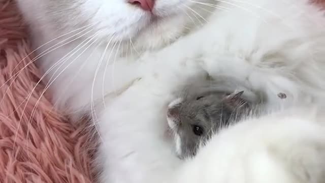 Cute Moment 🥰