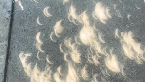 PHENOMENON SOLAR ECLIPSE{10/14/23