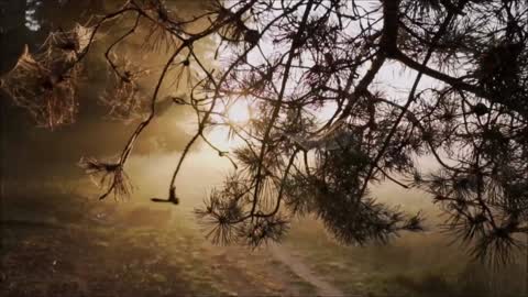 Life Power Meditation