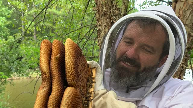 Beekeeping for Beginners Update | Have You Considered the Ease of a Top Bar Hive?