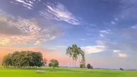 Nature🌿🍃🌿🍃🌿🍃