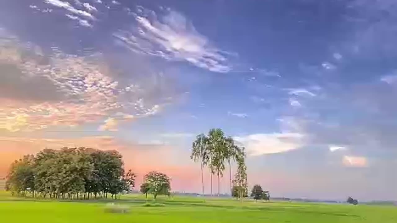 Nature🌿🍃🌿🍃🌿🍃