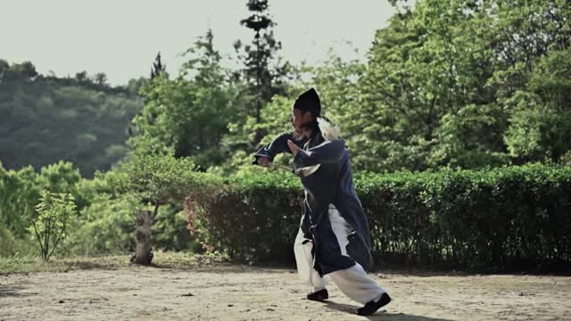 Master Chen Shixing sweeps away distracting thoughts in the world with a dust whisk in his hand