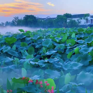 Snowstorm, Breathtaking View, Crackling Fire & Cats - Winter Ambience for Sleep, Relax or Study