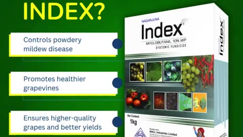 Best Fungicides for Disease-Free Farming in India | Agrochemicals