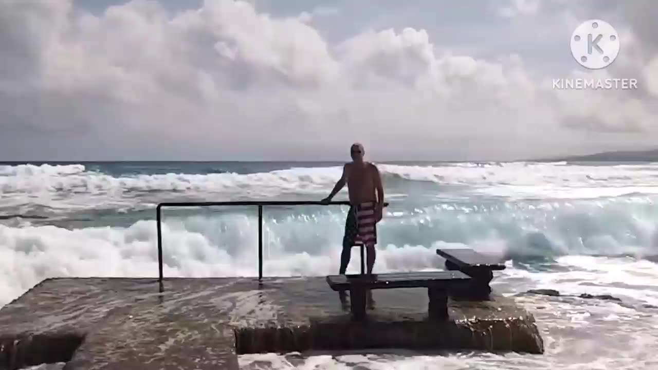 Things we feel bad Laughing🤣🤣🤣🤣 funny video