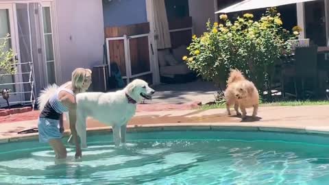 Ava's 1st time in pool