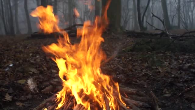 50+ Wilderness Survival Tips!