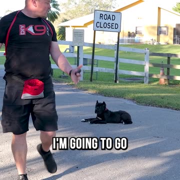 How to Teach Your Puppy to Stay Part 2