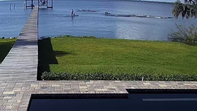 Security Cameras Capture Paddle Boarders Encountering Manatees