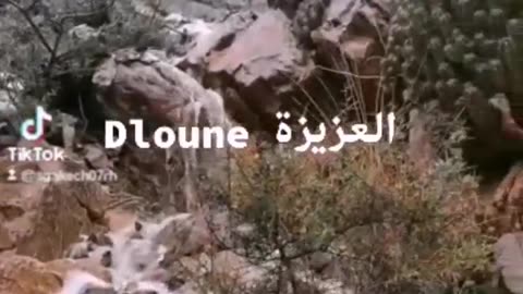 NATURE TROMBLE