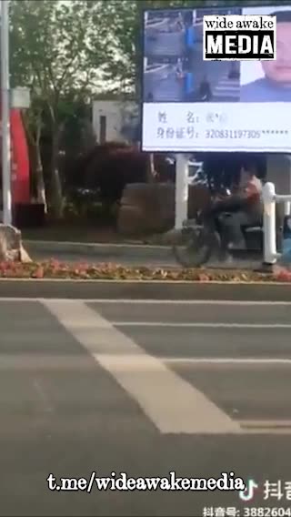 China's digital ID system, was the test for rest of world.