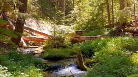 Nature #nature