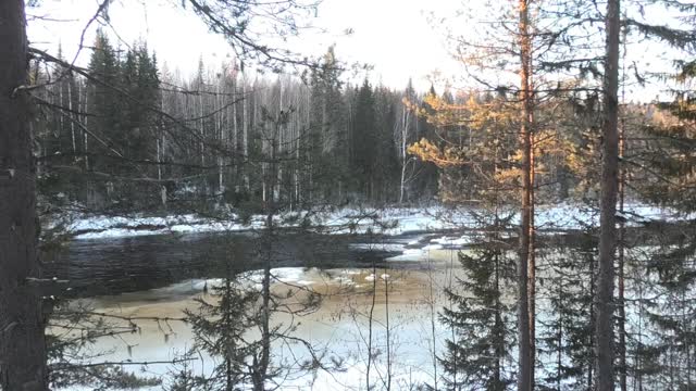 Taiga in early December.