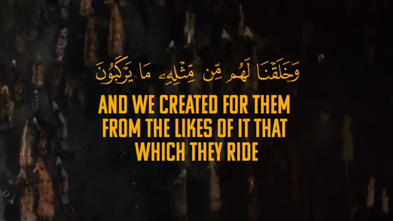 Surah Yaseen (41-44) , Visualization