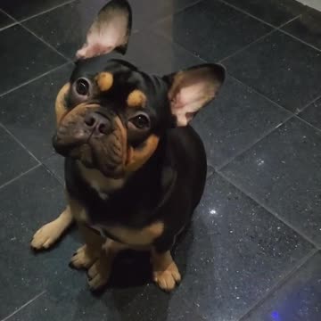 Terrible News 😞😱