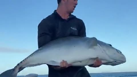 This guy set a big fish free