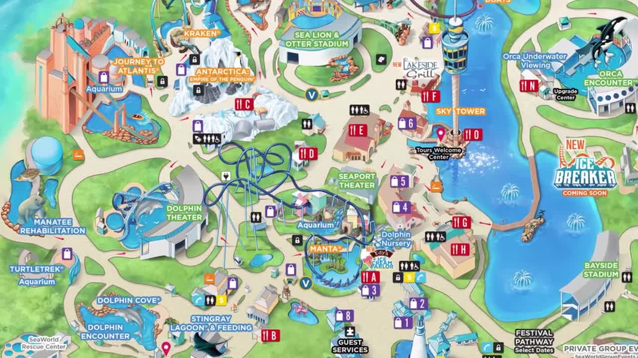 Top Things to Do at SeaWorld Orlando You Can’t Miss!