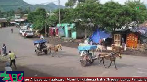 Oduu Waaree ONM-ABO Sadaasa 24, 2023