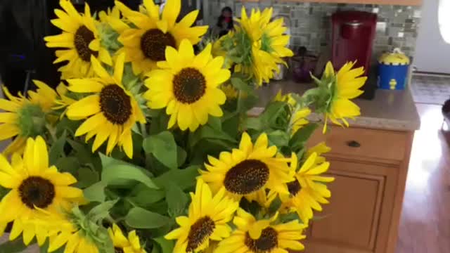 Sunflowers 2021