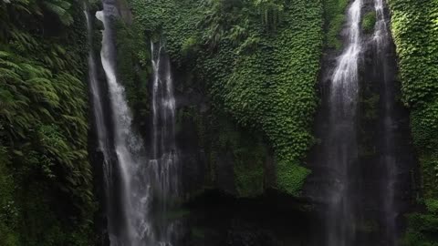 Relaxing Music | Sleeping, Meditation, Stress Relief | [6733] ⭐️