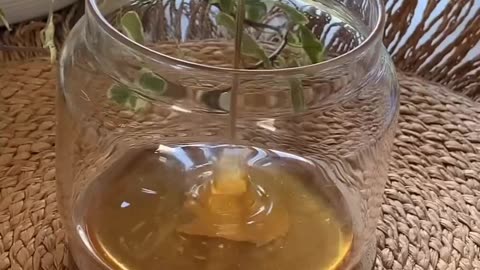 Honey, ginger, and turmeric are each renowned for their distinct health benefits