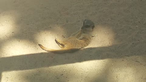 Come chat to me and be my friend