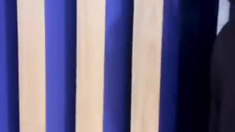 Round2hell Zayn, Nazim #reels #r2h #shorts #shortsfeed #viral #trending #zayn.mp4