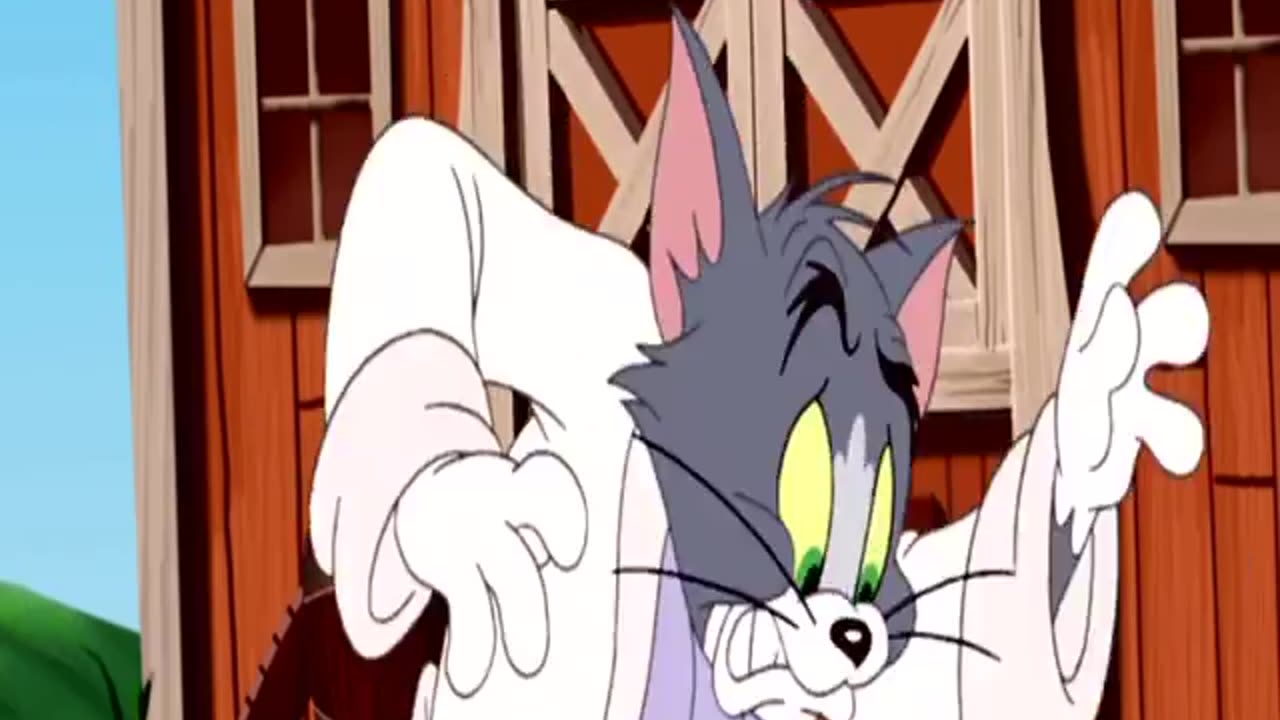 Tom And Jerry