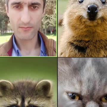 Super effect animals