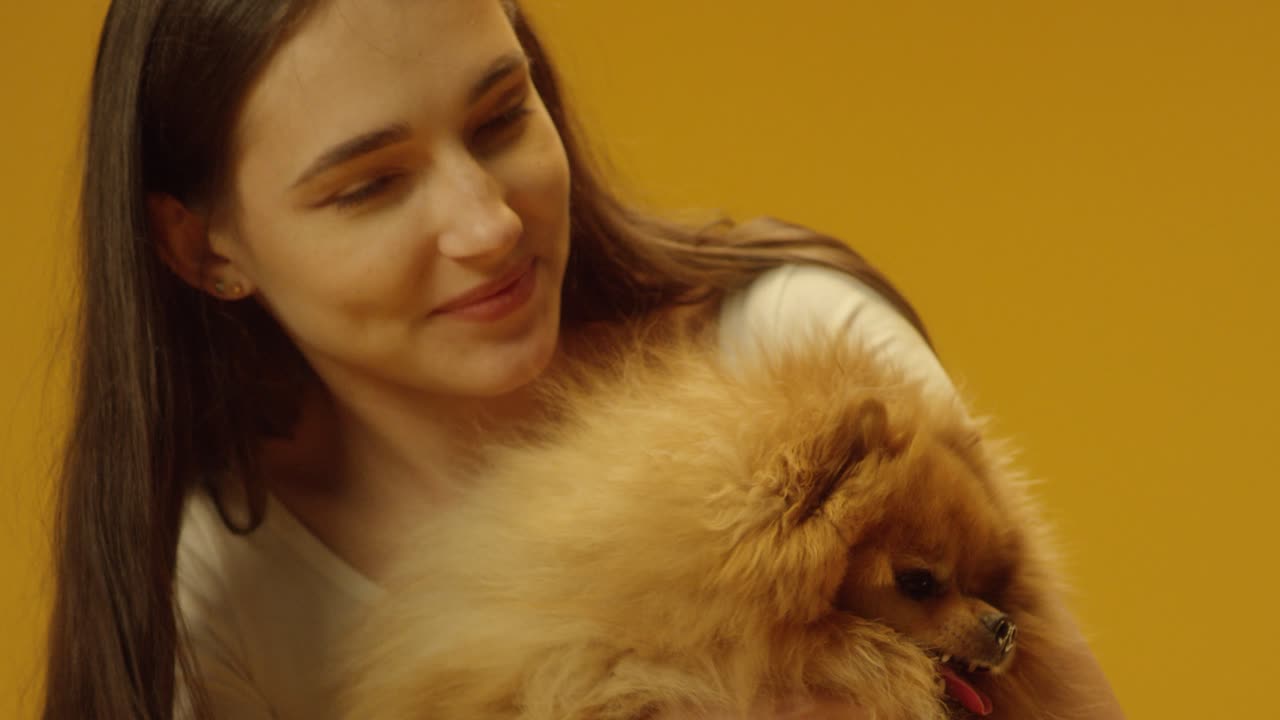 cute puppy