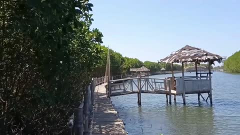 Taman Edukasi Mangrove Demang Gedi