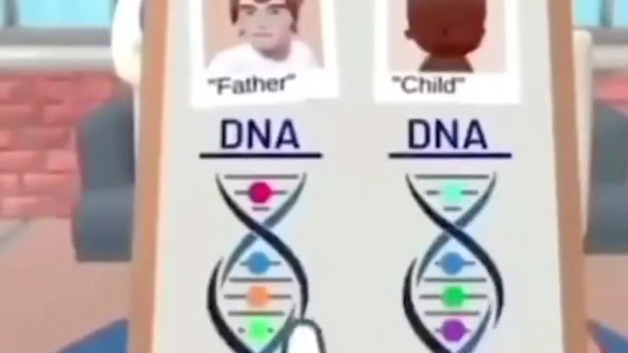 Maury Animation Is Wild