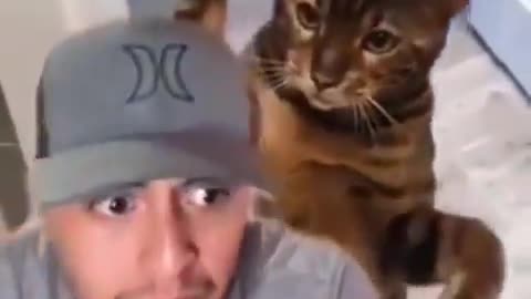 Hard Slaps