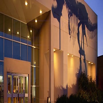 Exploring History: Bozeman Museum Adventure!