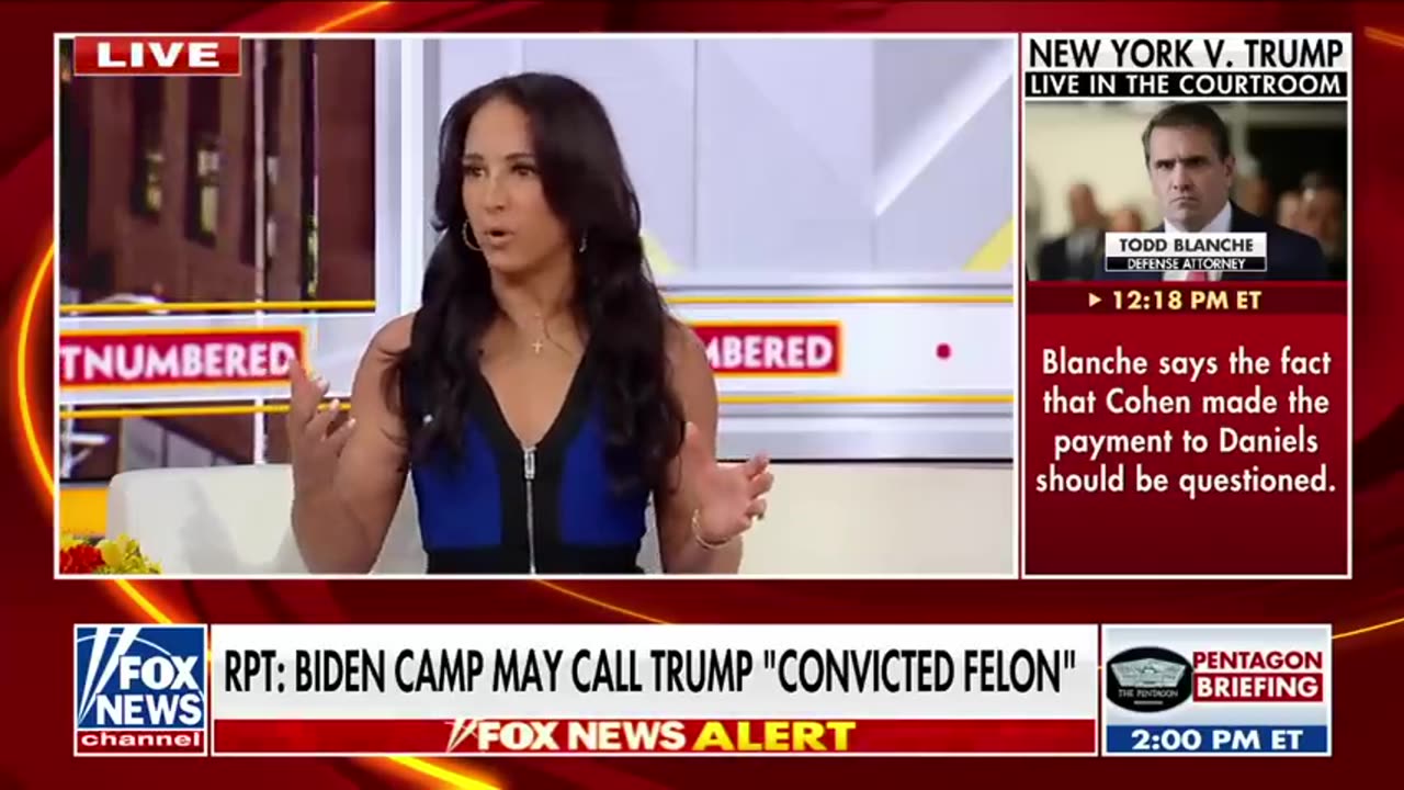 Robert De Niro 'shouted down' during Biden campaign press briefing Fox News