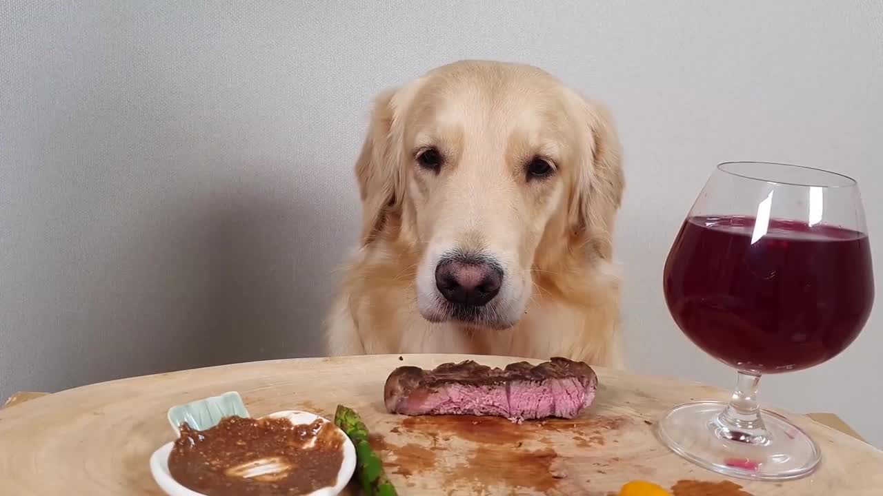 My Dog Eating Show Steak& Wine Asparagus Mukbang