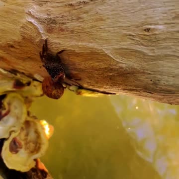 This Magic Moment - #rumblereels