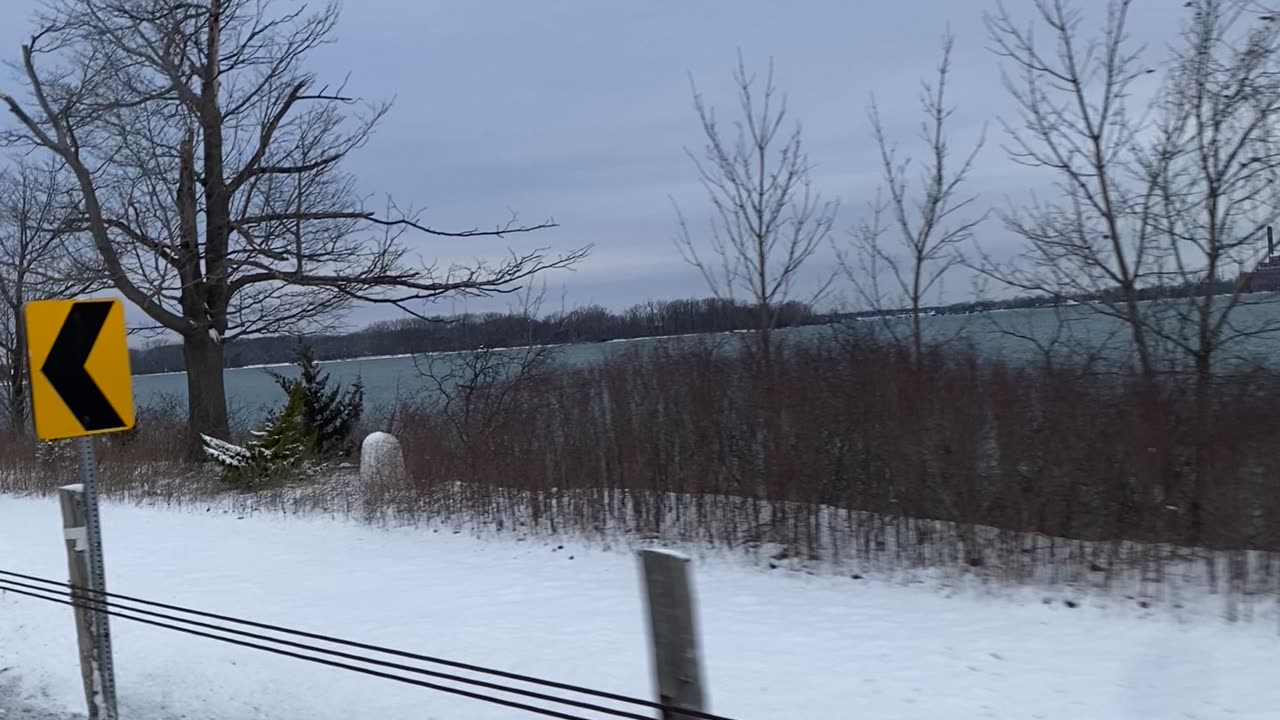 Geese in snow