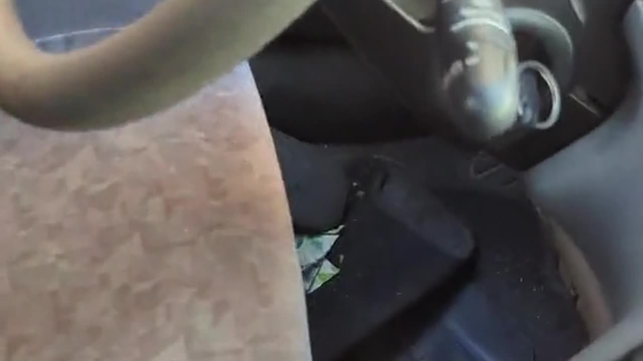 2023-08-23 (4) - Plus court le live STP - TikTok Triskouille